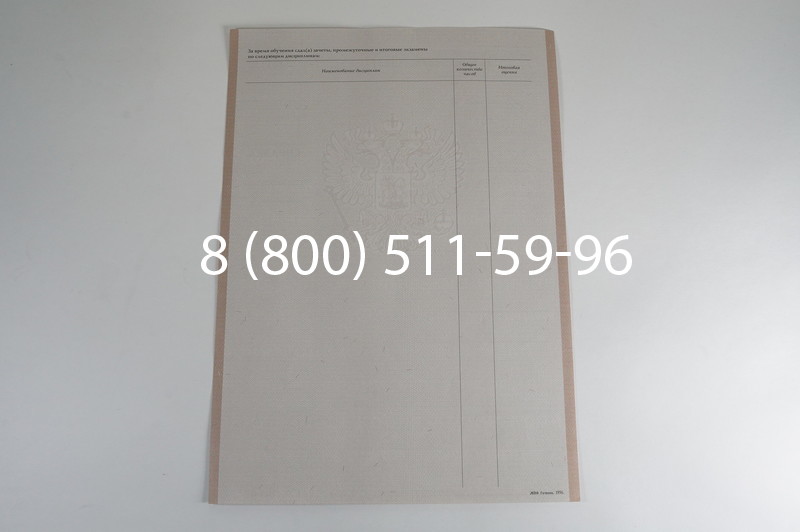 Заказать Академическая справка 1996-2009 года в Ростове-на-Дону