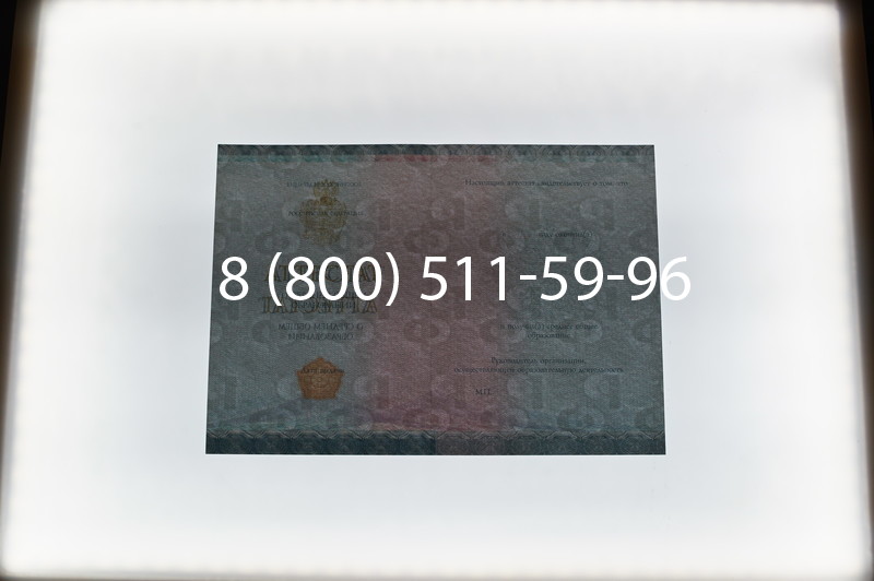 Купить Аттестат вечерней школы в Ростове-на-Дону