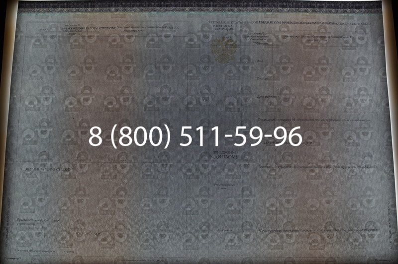 Заказать Диплом бакалавра (Киржач) 2014-2026 года в Ростове-на-Дону