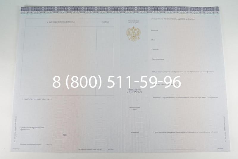 Диплом бакалавра (Киржач) 2014-2026 года в Ростове-на-Дону