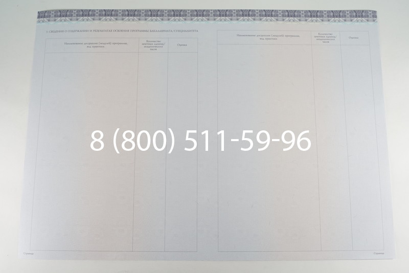 Диплом бакалавра (Киржач) 2014-2026 года в Ростове-на-Дону