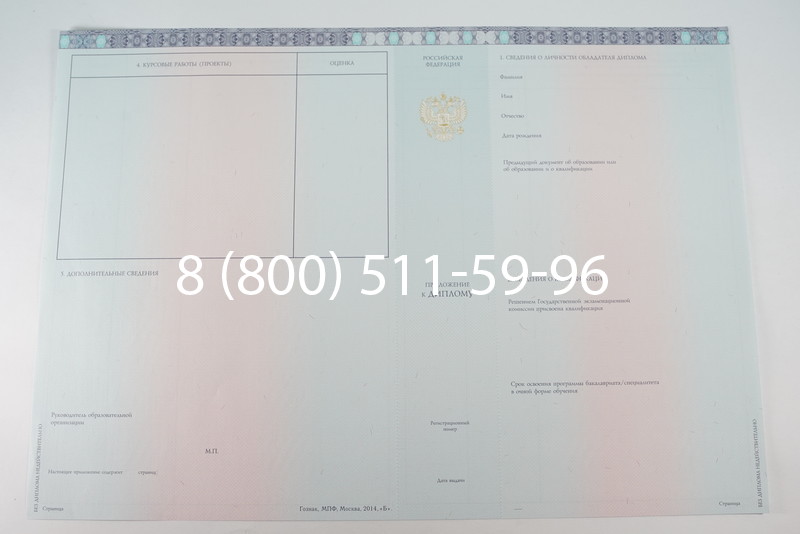 Диплом бакалавра 2014-2026 года в Ростове-на-Дону