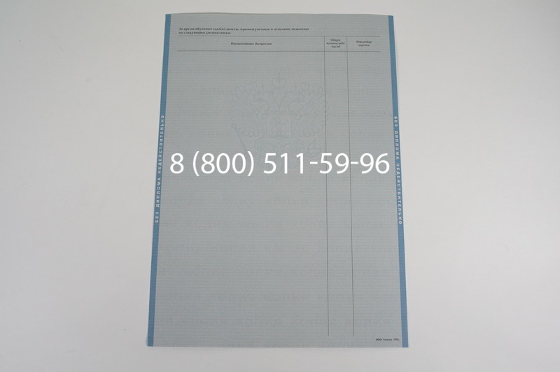 Заказать Диплом бакалавра 1997-2002 годов в Ростове-на-Дону