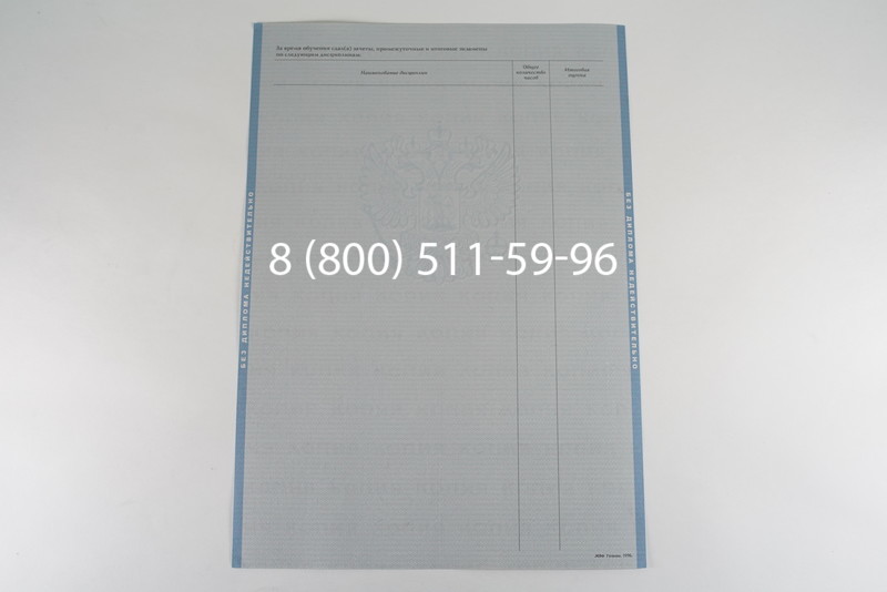 Диплом бакалавра 2003-2009 годов в Ростове-на-Дону