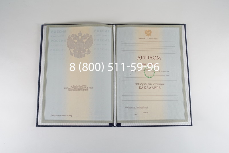 Диплом бакалавра 2003-2009 годов в Ростове-на-Дону