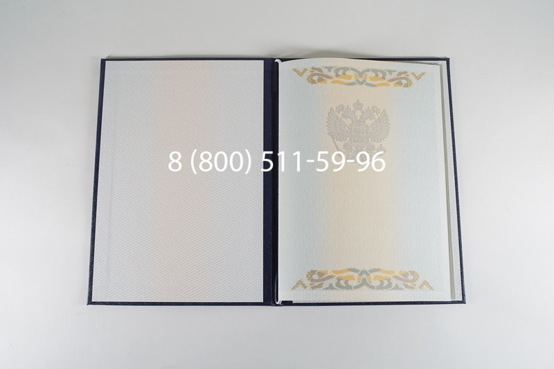 Диплом бакалавра 2003-2009 годов в Ростове-на-Дону