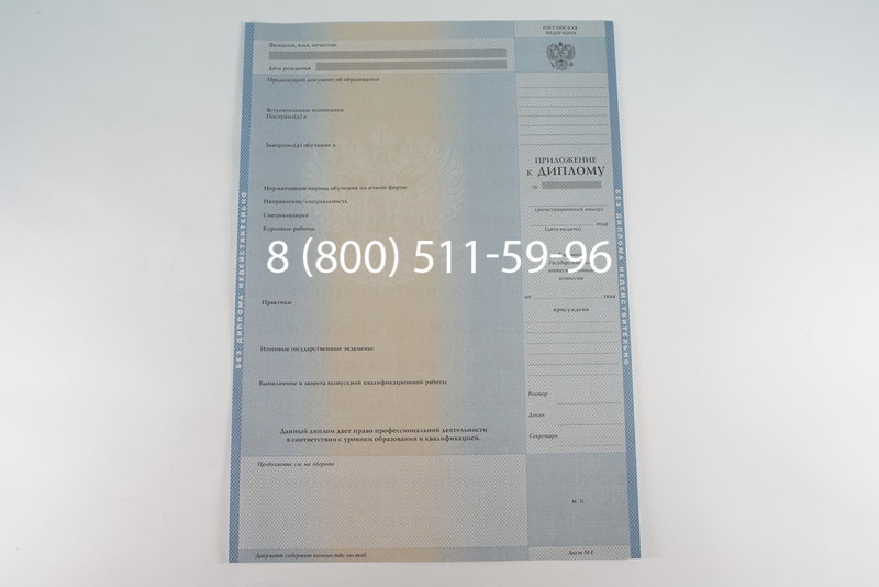 Диплом бакалавра 2003-2009 годов в Ростове-на-Дону