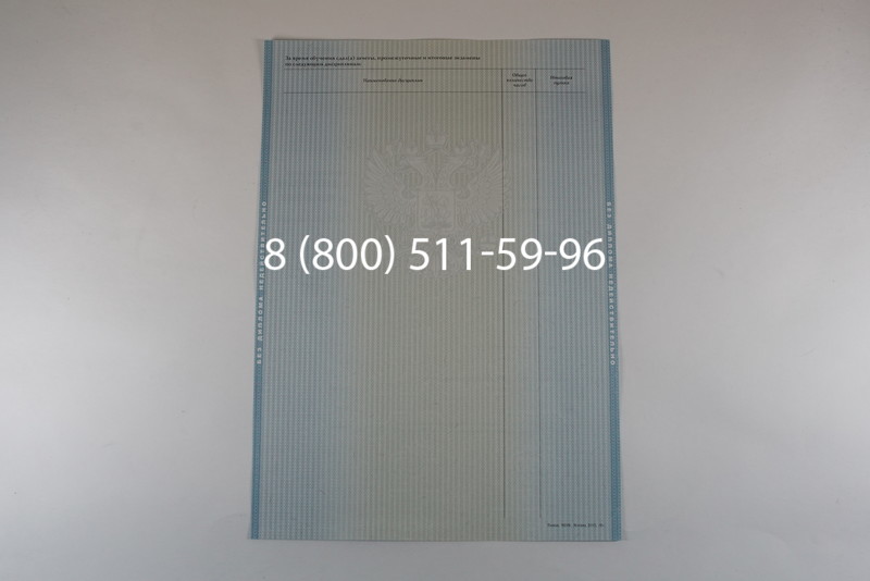 Диплом бакалавра 2012-2013 годов в Ростове-на-Дону