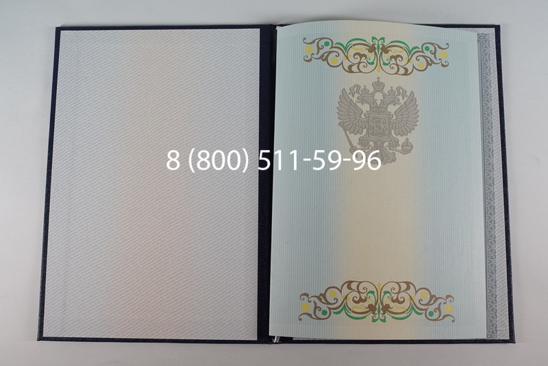 Диплом бакалавра 2012-2013 годов в Ростове-на-Дону