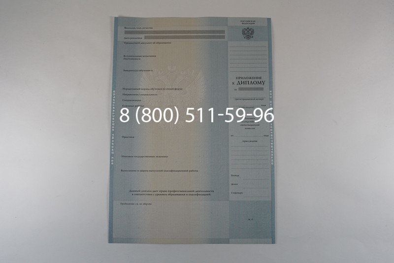 Диплом бакалавра 2012-2013 годов в Ростове-на-Дону
