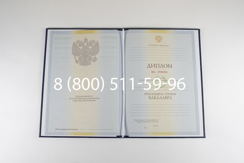 Диплом бакалавра 2010-2011 годов в Ростове-на-Дону