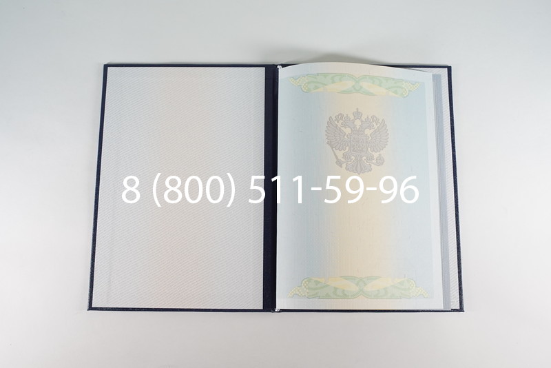 Диплом бакалавра 2010-2011 годов в Ростове-на-Дону