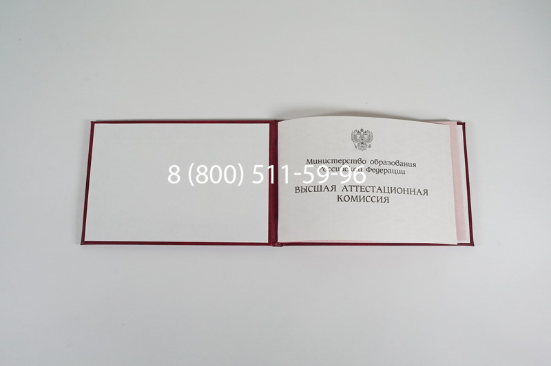 Диплом доктора наук 1995-2006 года в Ростове-на-Дону