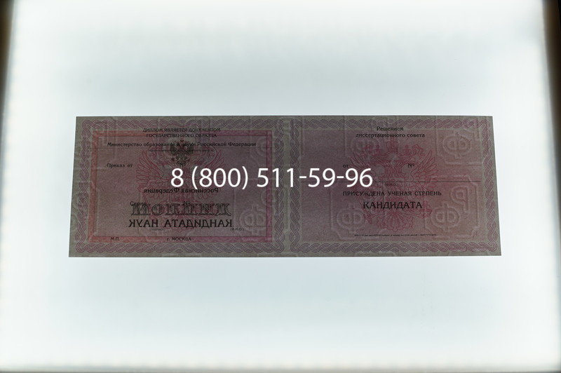 Заказать Диплом кандидата наук 2010 в Ростове-на-Дону