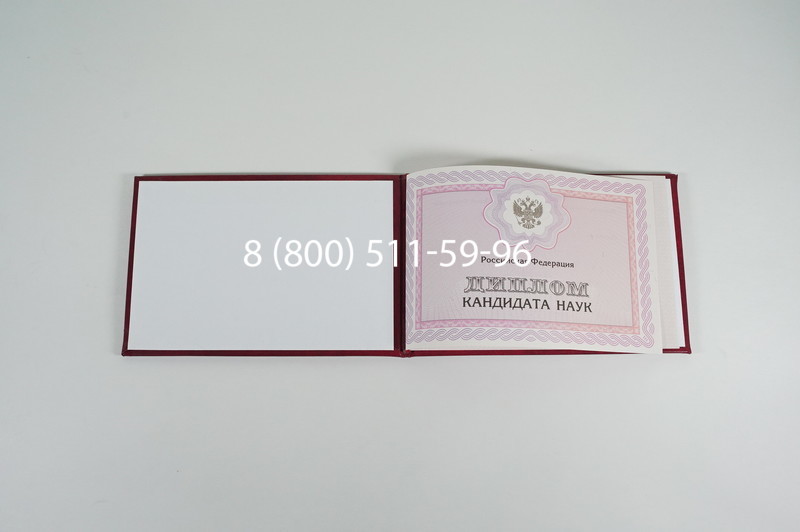 Заказать Диплом кандидата наук 2010 в Ростове-на-Дону