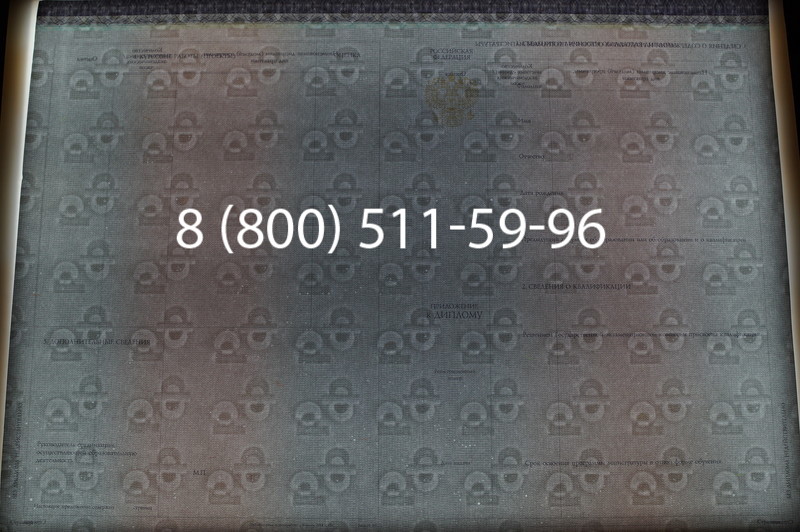 Заказать Диплом магистра (КИРЖАЧ) 2014-2026годов в Ростове-на-Дону
