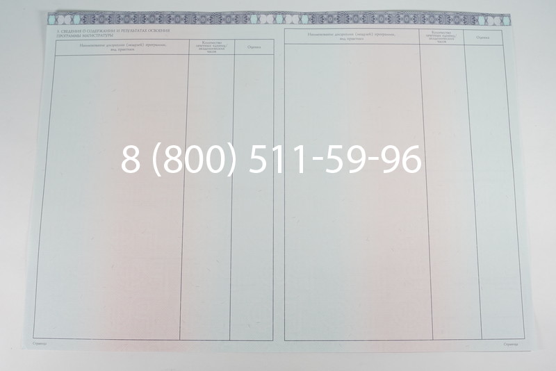 Диплом магистра 2014-2026 года в Ростове-на-Дону