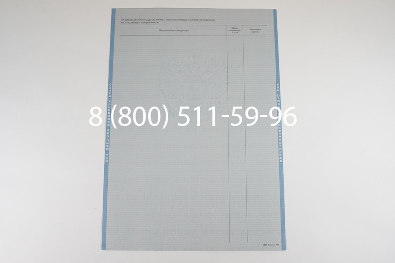 Заказать Диплом магистра 1997-2002 годов в Ростове-на-Дону