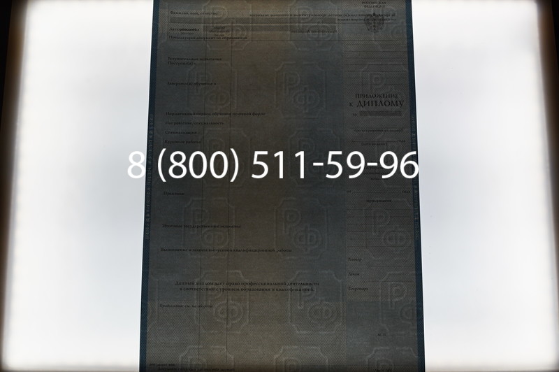 Заказать Диплом магистра 1997-2002 годов в Ростове-на-Дону