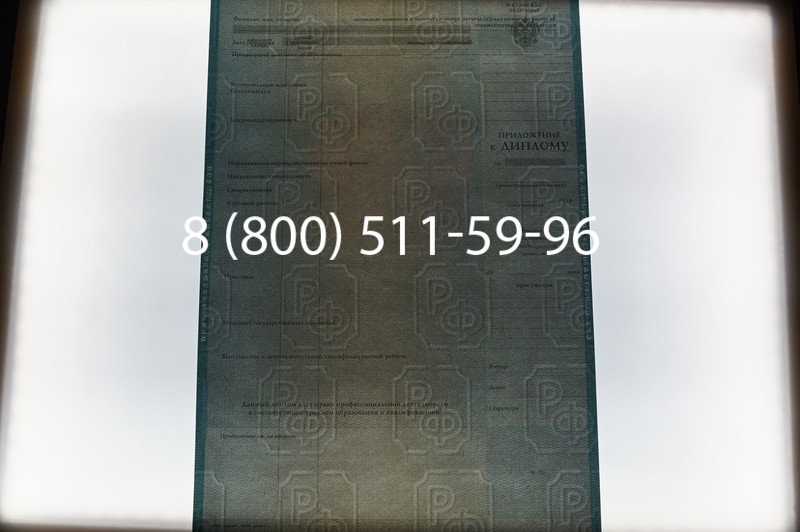 Заказать Диплом магистра 2003-2009 годов в Ростове-на-Дону