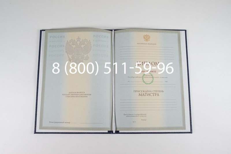 Диплом магистра 2003-2009 годов в Ростове-на-Дону