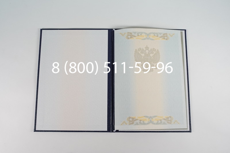 Диплом магистра 2003-2009 годов в Ростове-на-Дону