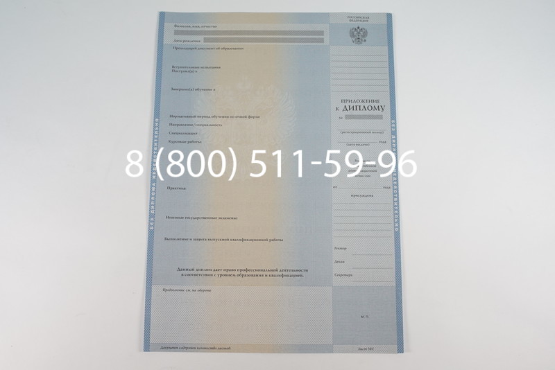 Диплом магистра 2003-2009 годов в Ростове-на-Дону