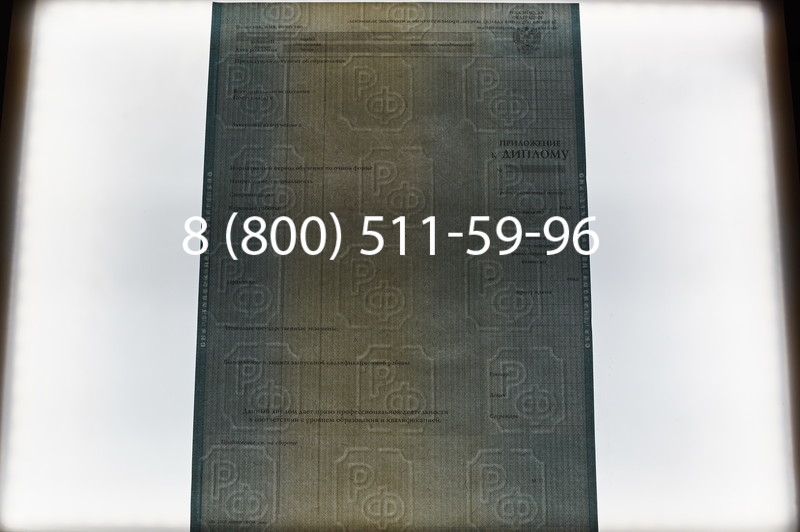 Заказать Диплом магистра 2012-2013 годов в Ростове-на-Дону