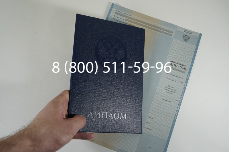 Диплом магистра 2010-2011 годов в Ростове-на-Дону