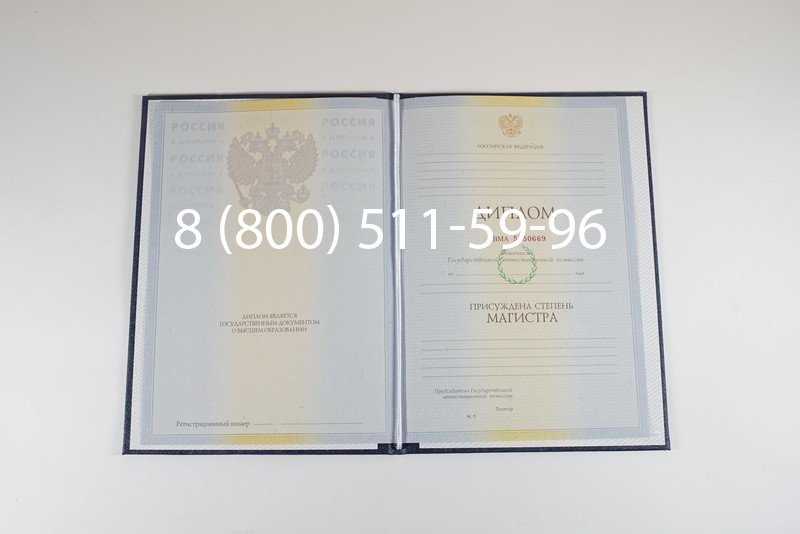 Диплом магистра 2010-2011 годов в Ростове-на-Дону