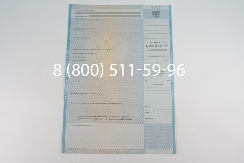 Диплом магистра 2010-2011 годов в Ростове-на-Дону