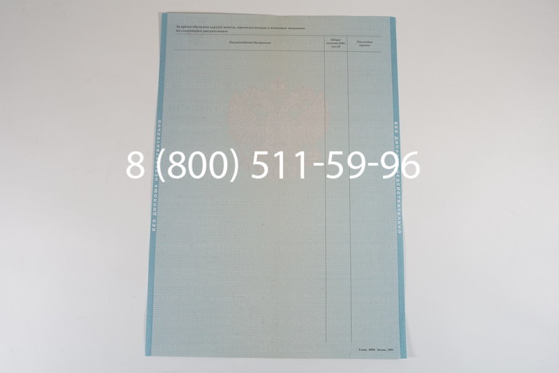 Диплом магистра 2010-2011 годов в Ростове-на-Дону