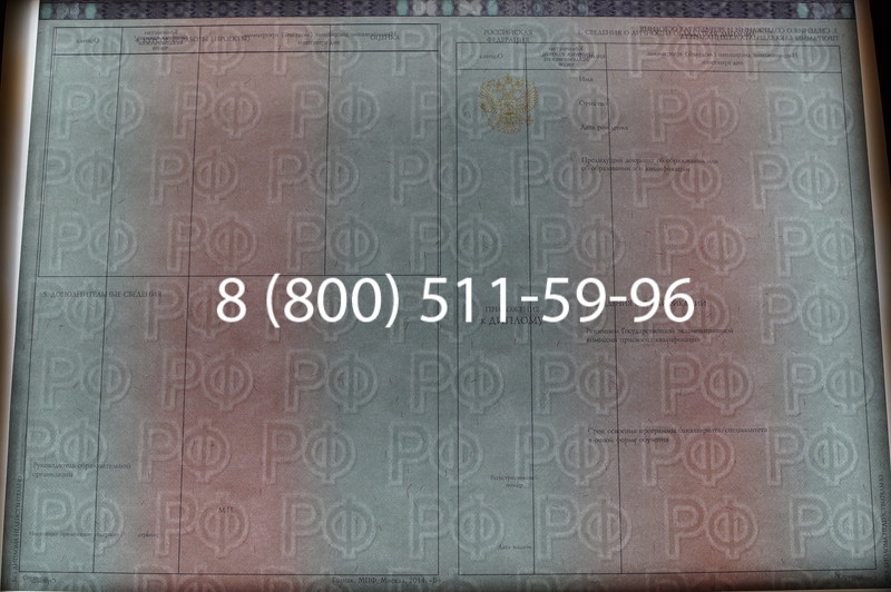 Заказать Диплом о высшем образовании 2014-2026 годов в Ростове-на-Дону