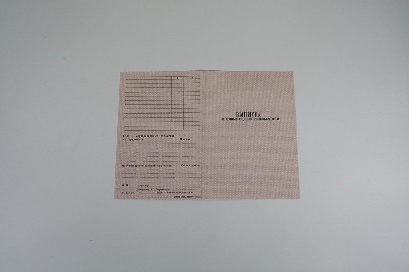 Диплом о начальном образовании 1995-2006 годов в Ростове-на-Дону