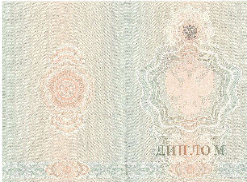 Купить Диплом о начальном образовании  2007-2009 годов в Ростове-на-Дону