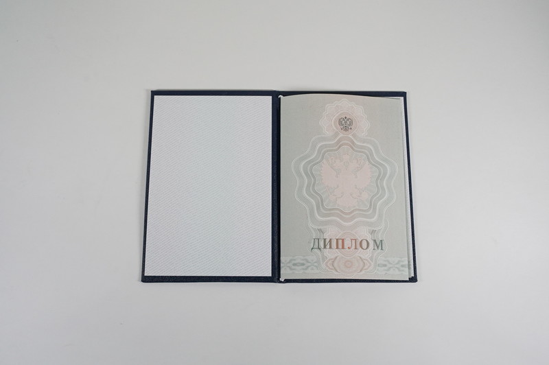 Диплом о начальном образовании  2007-2009 годов в Ростове-на-Дону