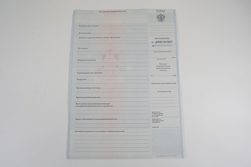 Диплом о начальном образовании  2007-2009 годов в Ростове-на-Дону