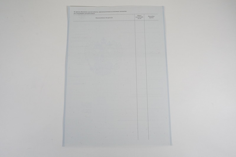 Диплом о начальном образовании  2007-2009 годов в Ростове-на-Дону