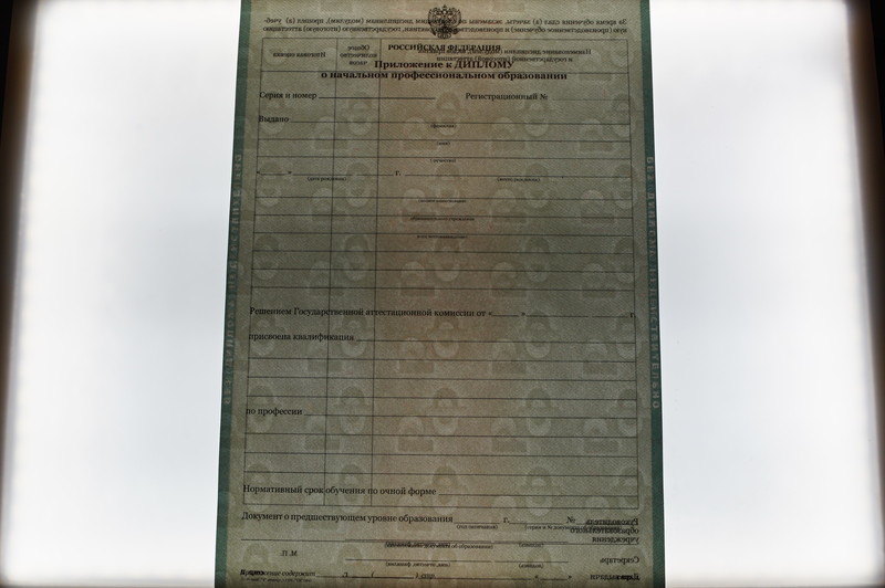 Заказать Диплом о начальном образовании  2010-2026 годов в Ростове-на-Дону