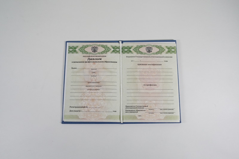 Диплом о начальном образовании  2010-2026 годов в Ростове-на-Дону