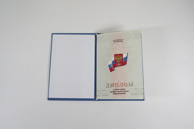 Диплом о начальном образовании  2010-2026 годов в Ростове-на-Дону