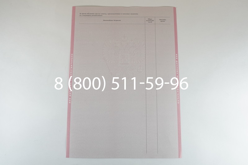 Диплом о среднем образовании 2003-2006 годов в Ростове-на-Дону