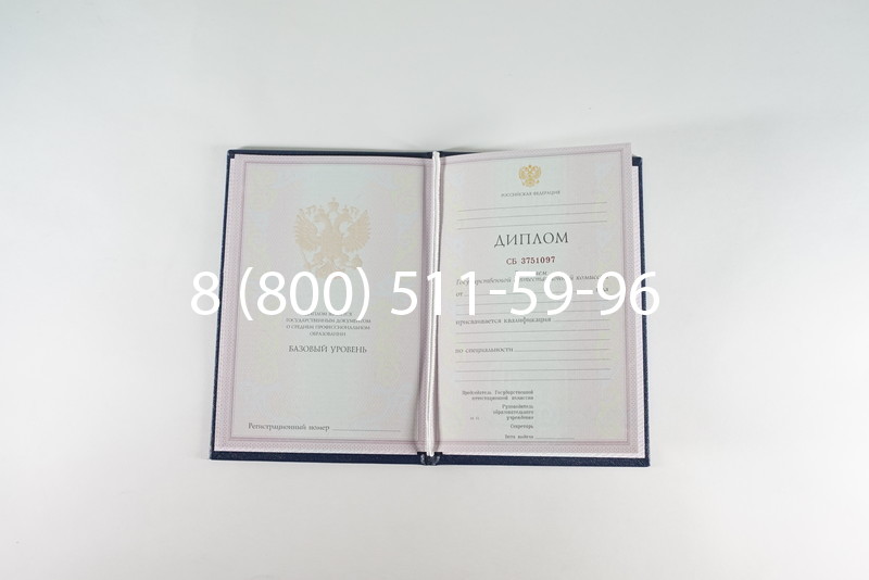 Диплом о среднем образовании 2003-2006 годов в Ростове-на-Дону