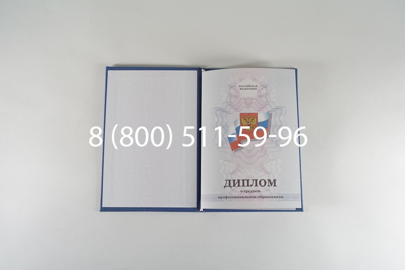 Диплом о среднем образовании 2011-2013 годов в Ростове-на-Дону