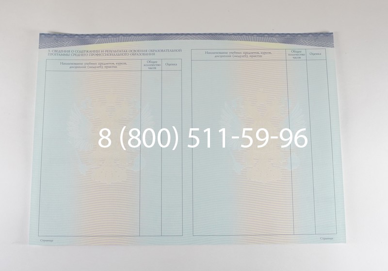 Диплом о среднем образовании (Спецбланк) 2014-2026 года в Ростове-на-Дону