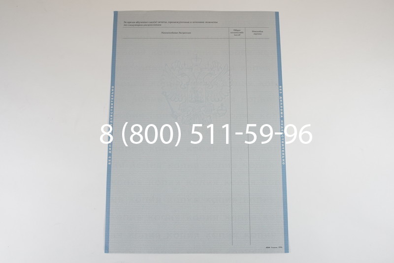 Диплом о высшем образовании 1997-2002 годов в Ростове-на-Дону