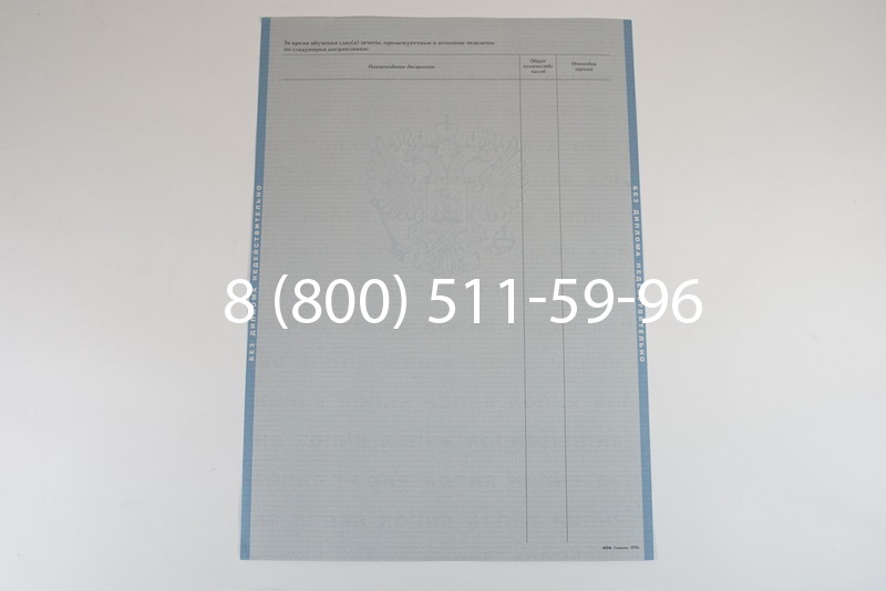 Диплом о высшем образовании 2003-2009 годов в Ростове-на-Дону