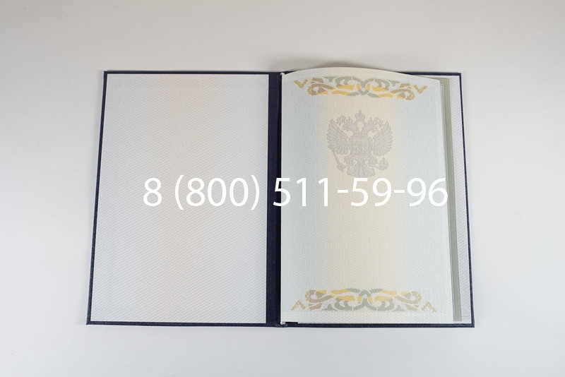 Диплом о высшем образовании 2003-2009 годов в Ростове-на-Дону
