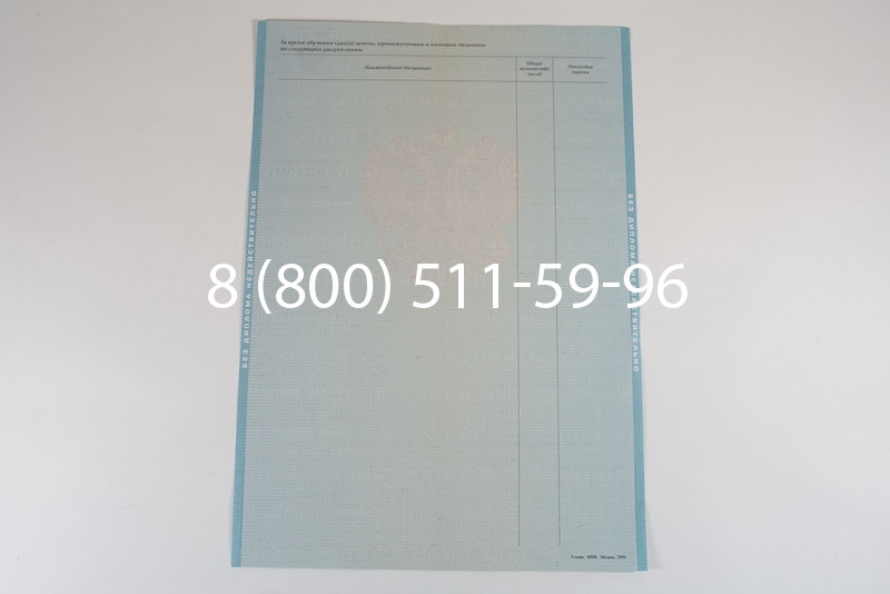 Диплом о высшем образовании 2010-2011 годов в Ростове-на-Дону