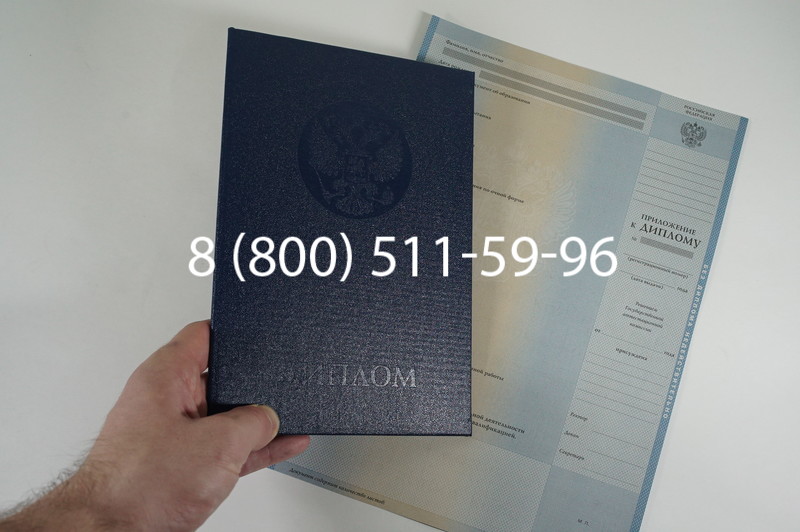 Диплом о высшем образовании 2010-2011 годов в Ростове-на-Дону